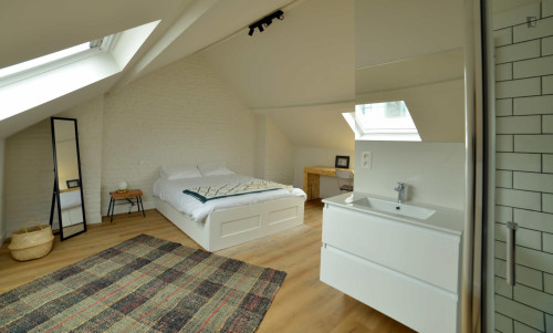 Alluring ensuite double bedroom in Brussels