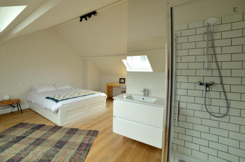 Alluring ensuite double bedroom in Brussels