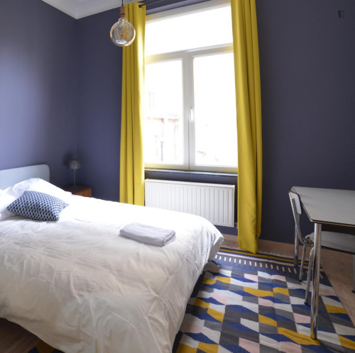 Welcoming ensuite double bedroom near Thieffry metro