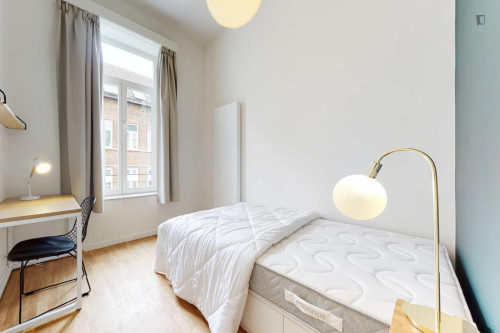 Alluring ensuite double bedroom near Maelbeek metro