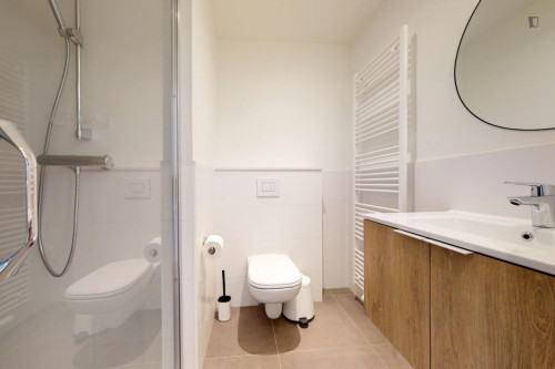 Pleasant ensuite single bedroom near Schuman metro