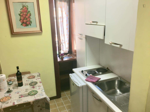 Apartment in Via Crescenzio, Roma for 45 m² with 1 bedroom  - Gallery -  5