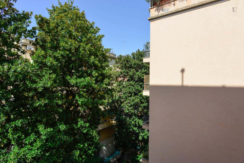 Room in Via Alberto Caroncini, Roma for 180 m² with 6 bedrooms  - Gallery -  5