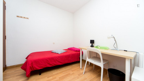 Enchanting single bedroom near La Latina metro station