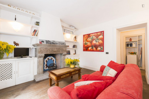 Awesome 1-bedroom apartment in residential Trastevere