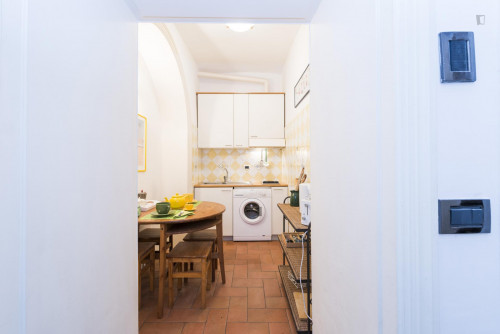 Awesome 1-bedroom apartment in residential Trastevere  - Gallery -  5