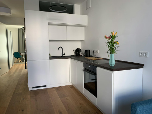 Fischerstraße, Berlin