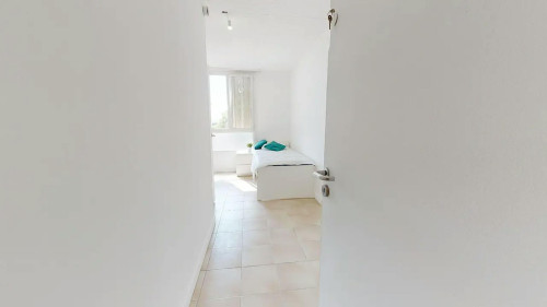 Rue Philippe Fabia, Lyon