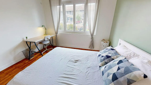 Avenue Lacassagne, Lyon