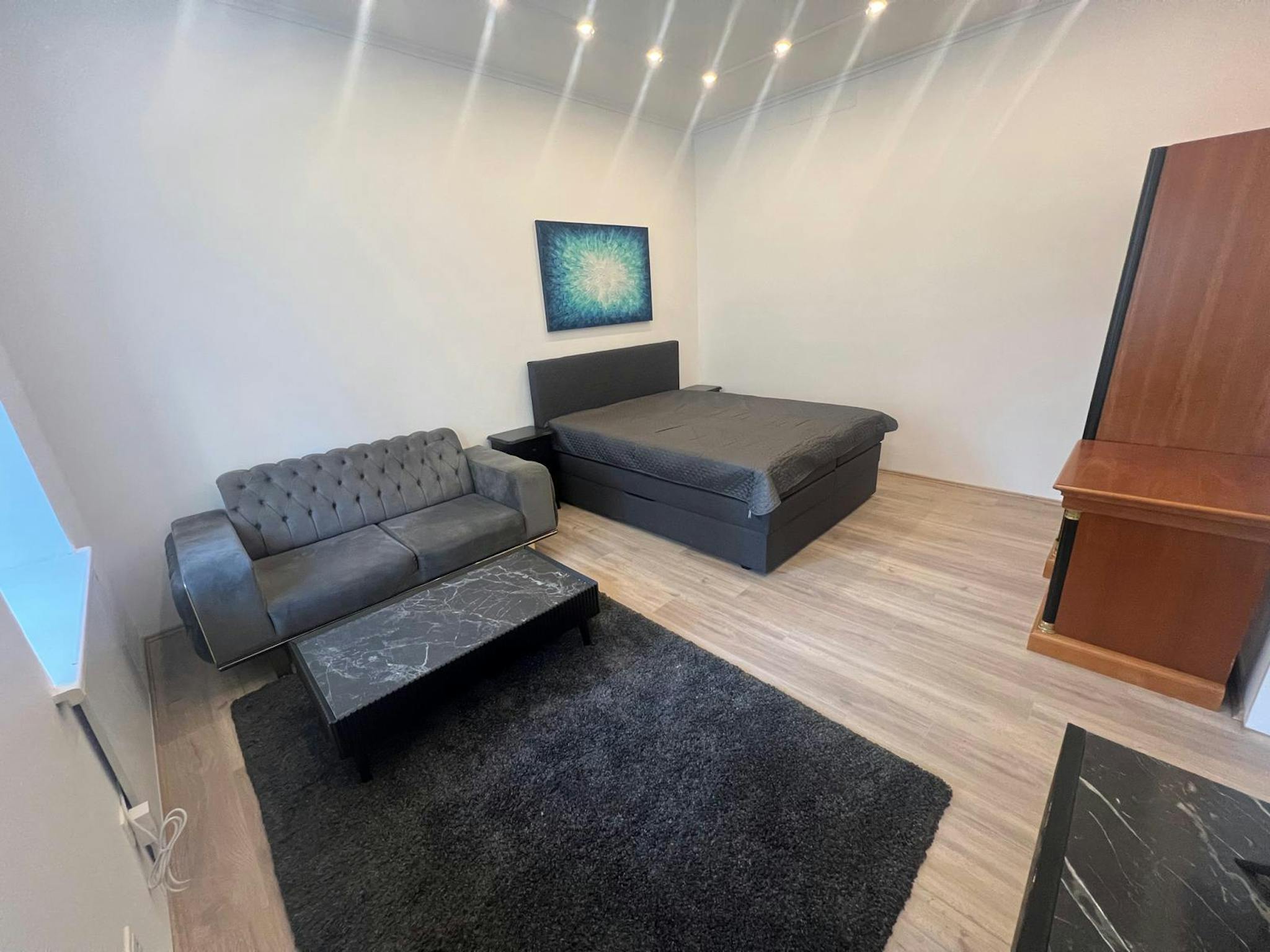  Entire Place  -  Goldschlagstraße, Vienna  - Gallery -  1