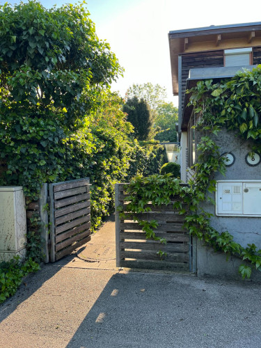 Im Obstgarten, Maria Enzersdorf