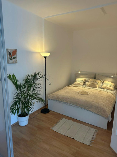 Petzvalgasse, Vienna