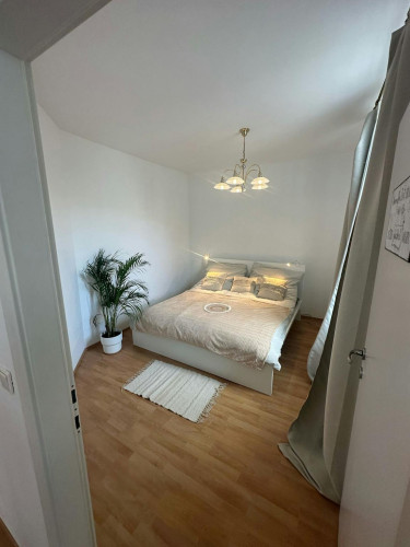 Petzvalgasse, Vienna