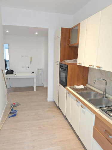 Lungotevere degli Artigiani, Rome