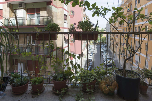 Room in Via Anghiari, Roma for 80 m² with 2 bedrooms
