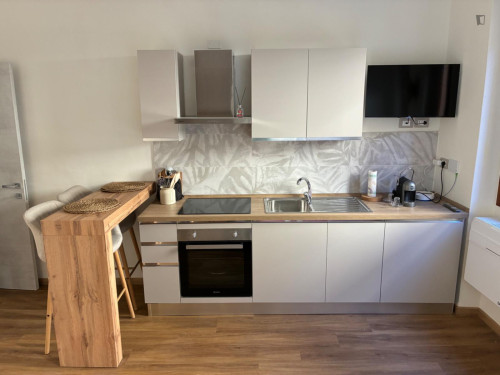 Modern Studio in Florence