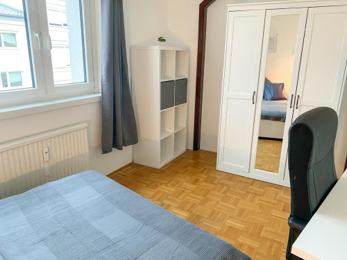 Untere Augartenstraße, Vienna