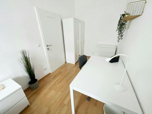 Triester Straße, Vienna