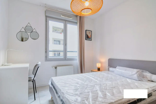 Avenue Paul Santy, Lyon