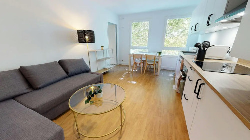 Cours d'Herbouville, Lyon