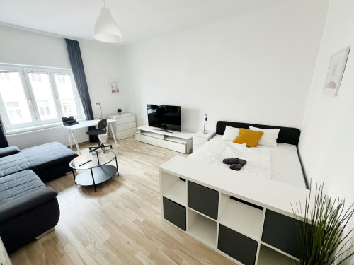 Schallergasse, Vienna