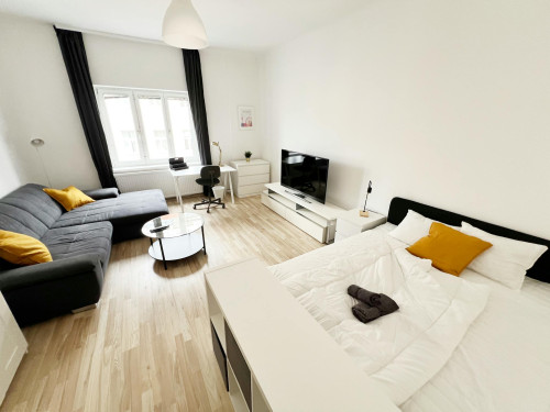 Schallergasse, Vienna