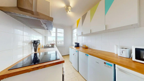 Avenue Barthélémy Buyer, Lyon