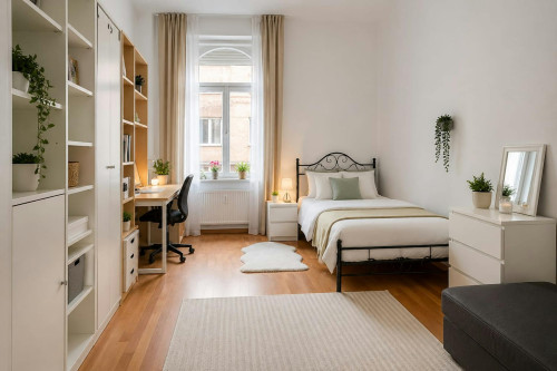 Baross utca, Budapest