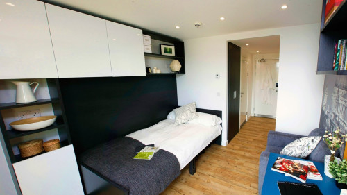 Studio apartment-Tower Bridge  - Gallery -  5