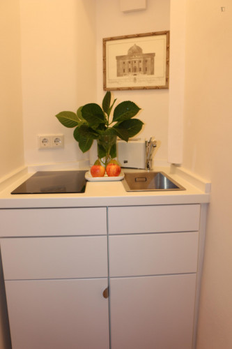 1-Bedroom apartment near Alte Oper metro station  - Gallery -  5