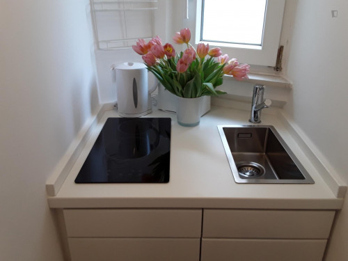 Studio near Alte Oper metro station