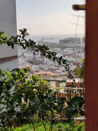 Room in Calle Capitán Eliseo López Orduña, Las Palmas de Gran Canaria for 100 m² with 5 bedrooms