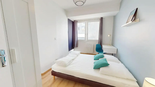 Avenue Berthelot, Lyon