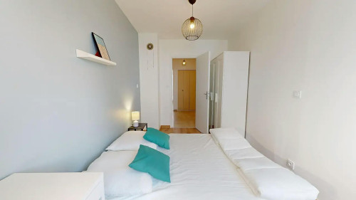 Avenue Berthelot, Lyon