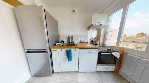 Cours Émile Zola, Villeurbanne  - Gallery -  5