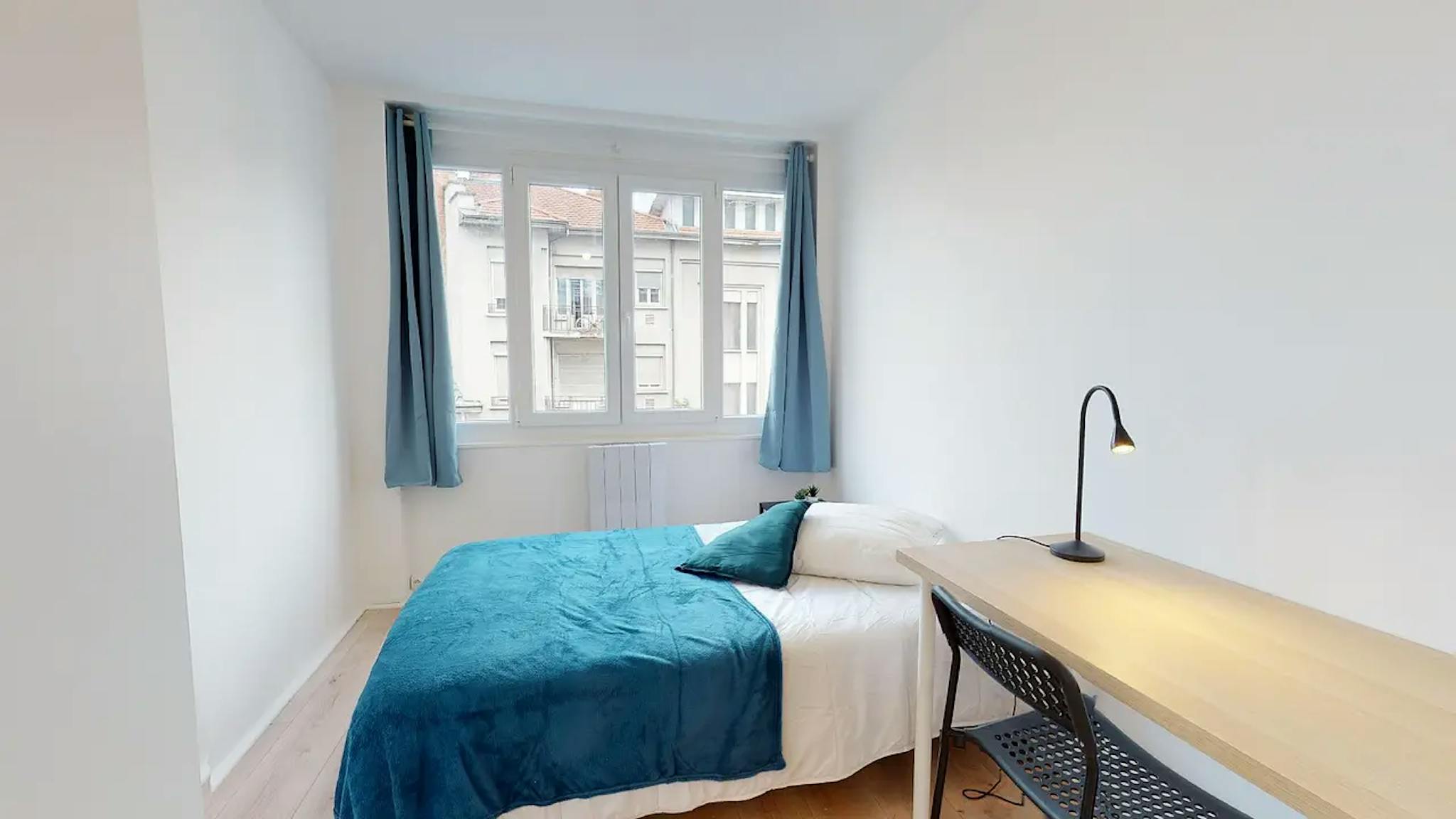  Private Room  -  Cours Émile Zola, Villeurbanne  - Gallery -  1