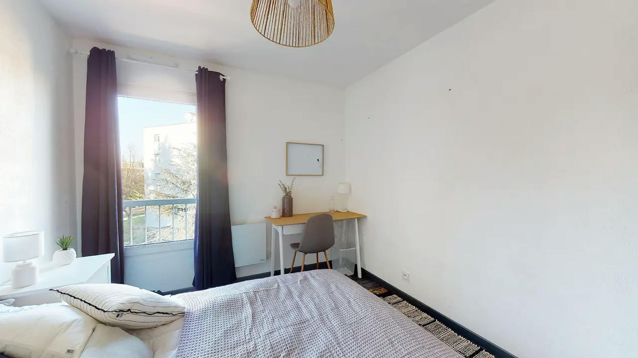  Private Room  -  Rue de Champagneux, Lyon  - Gallery -  1