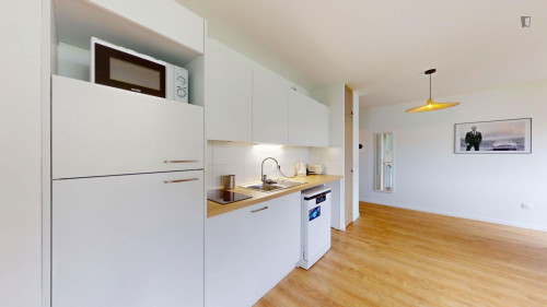 Sunny 1-bedroom apartment in Ivry-sur-Seine  - Gallery -  5