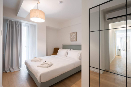 Very neat 2 bedroom apartment near Thiseio metro