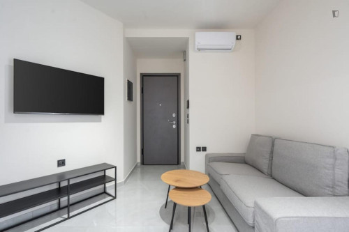 Appealing 1-double bedroom apartment near Metaxourgeio station