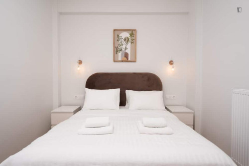 Charming 2-bedroom apartment near Pangrati  - Gallery -  5