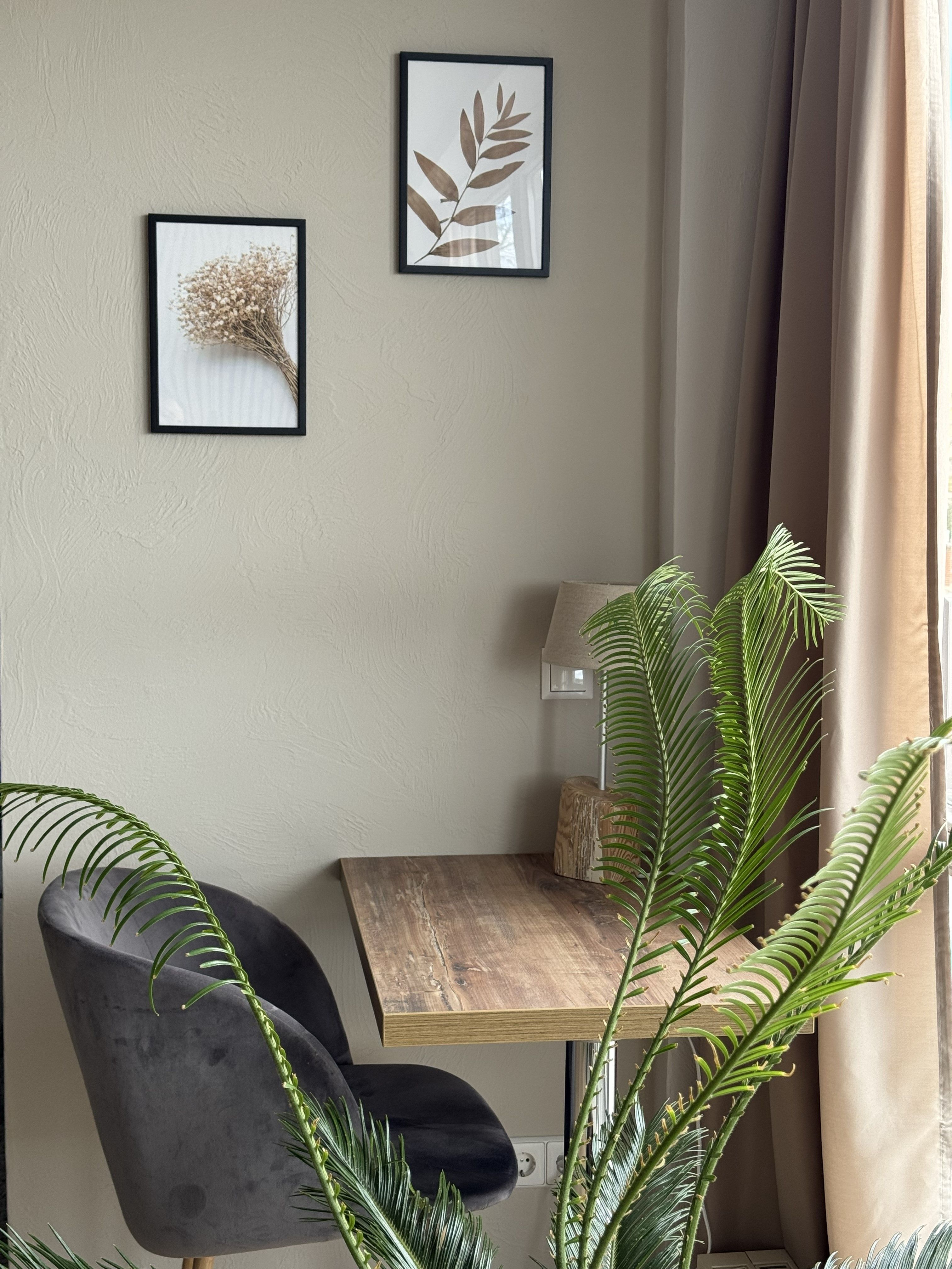 Beautiful, Modern And Bright Apartment Near Waldschlösschen - Beautiful, modern and bright apartment near Waldschlösschen - Gallery - 25