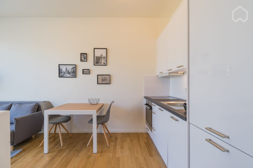 Nice and neat suite located in Tiergarten