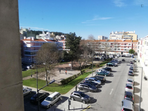 Charming 1-bedroom apartment in Sete Rios