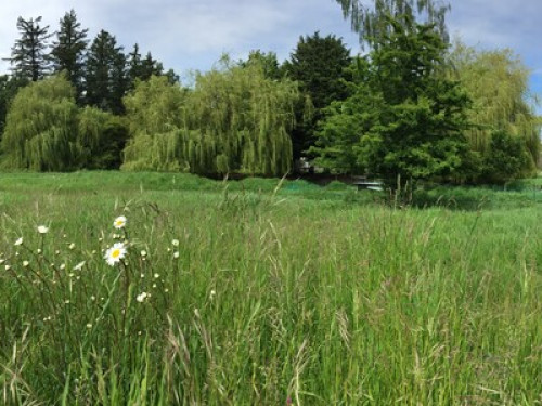 Three Willows Farm   - Gallery -  5