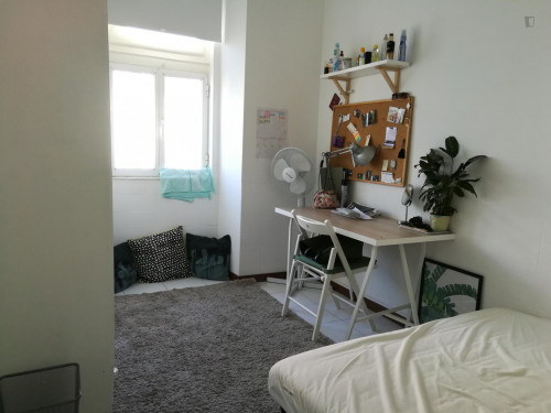 Nice double bedroom not too far from Instituto Superior Técninco - Gallery - 14