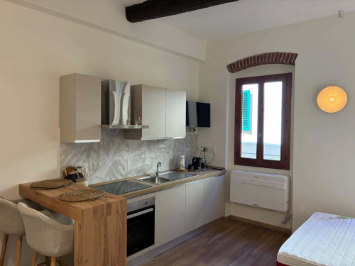 Apartment in Via San Cristofano, Firenze for 24 m²