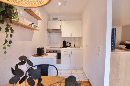 A wesome and cute flat - in Downtown Düsseldorf