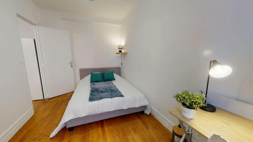 Cours Docteur Jean Damidot, Villeurbanne