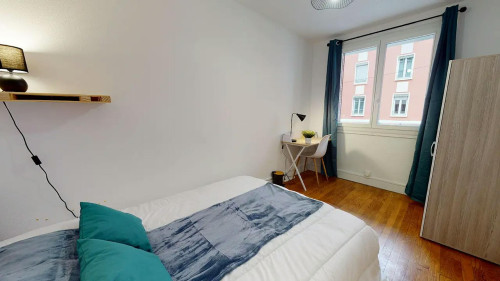 Cours Docteur Jean Damidot, Villeurbanne